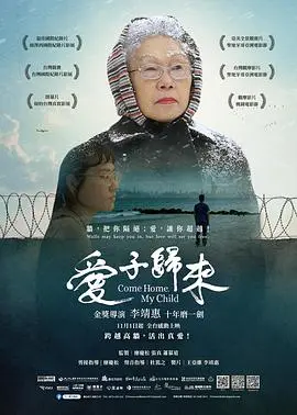 《爱子归来》:感人至深的亲情救赎,找寻失落的爱
