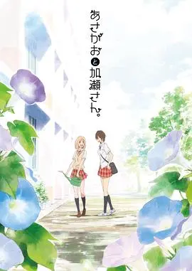 《牵牛花与加濑同学。》:一场怦然心动的百合恋歌,唯美绽放!